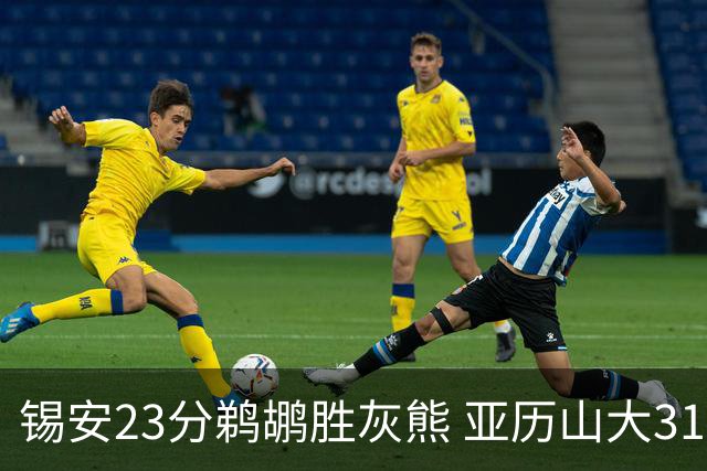 锡安23分鹈鹕胜灰熊 亚历山大31+10雷霆屠公牛